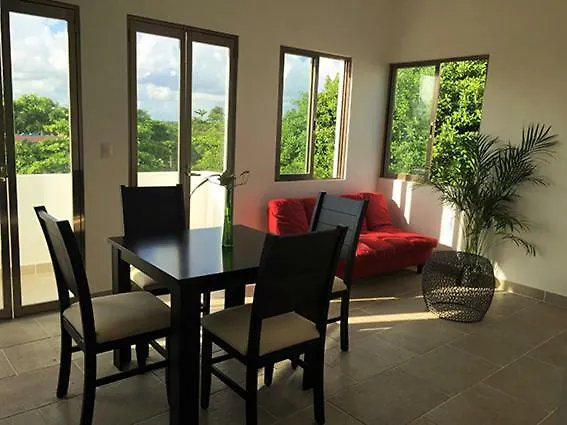 アパート Apartamentos Taninos プエルト・モレロス メキシコ